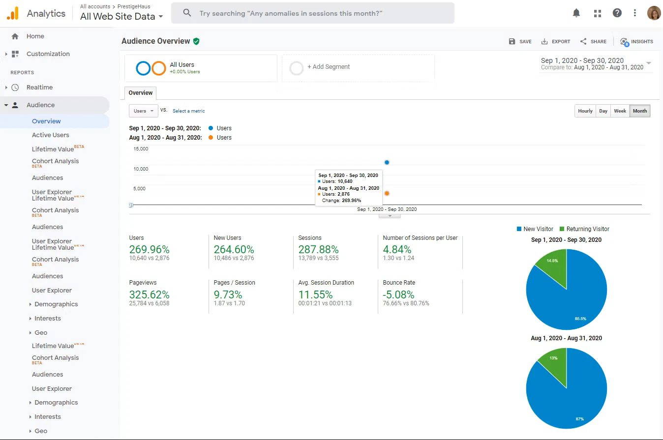 Audience Overview - Ecommerce SEO